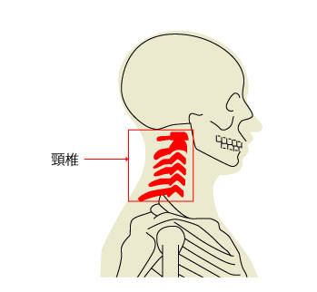 頸椎